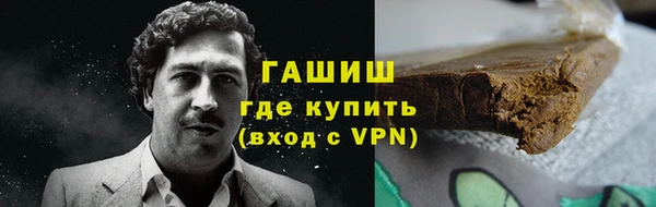 прущие грибы Рославль