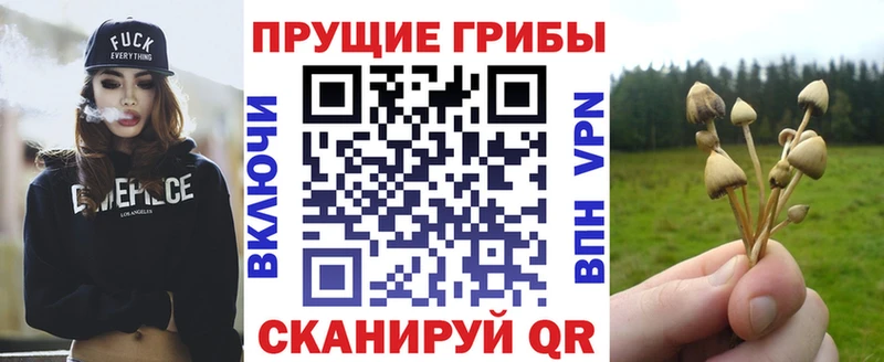 Псилоцибиновые грибы MAGIC MUSHROOMS  купить   Злынка 